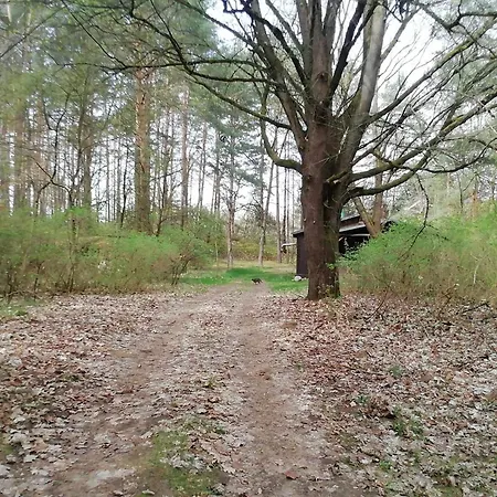 Villa Przystan U Zosi Drawsko  Esterno foto